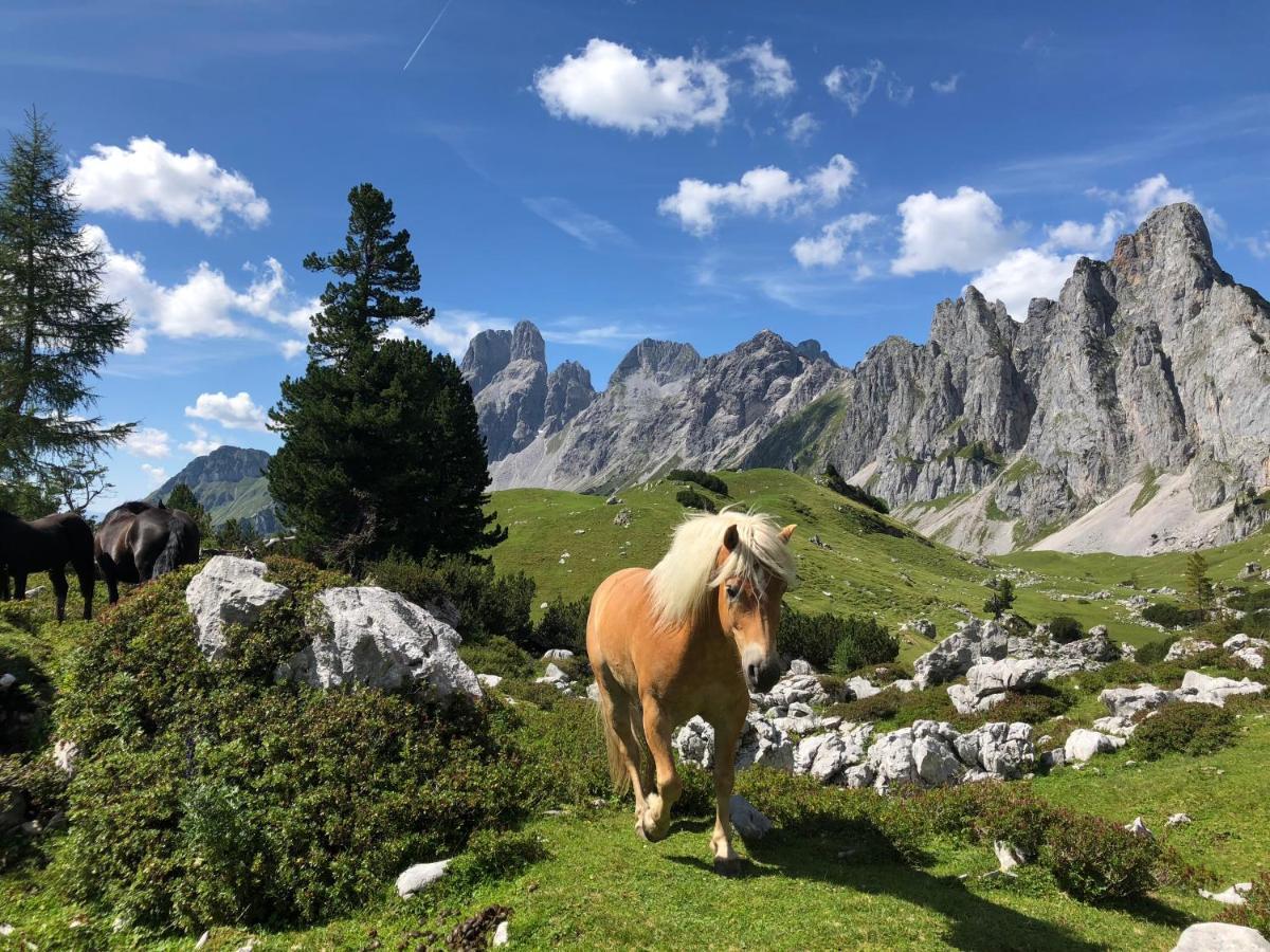 Haus Kleinberg Daire Filzmoos Dış mekan fotoğraf